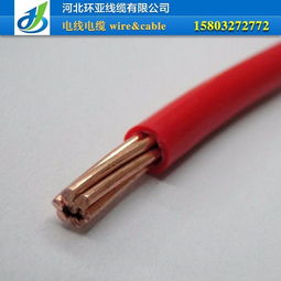 環(huán)亞供應(yīng) 聚氯乙烯絕緣塑電線——家裝電線的明智之選